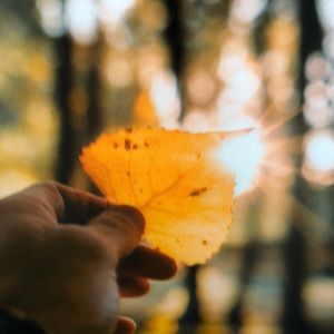 Meet your Posher, Eula